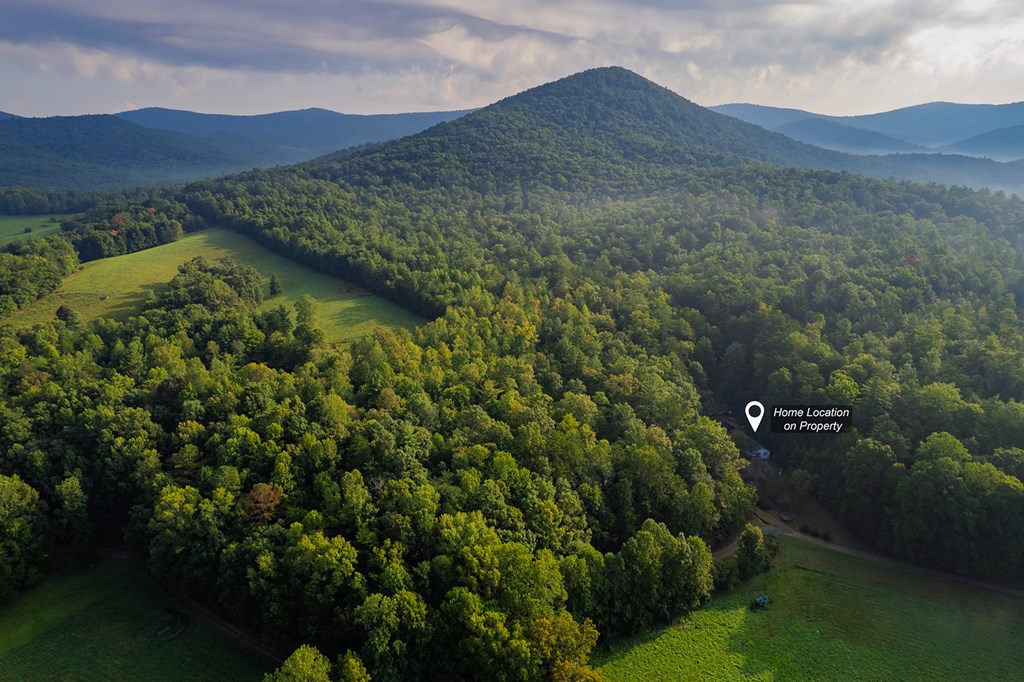 228 Holly Branch Drive