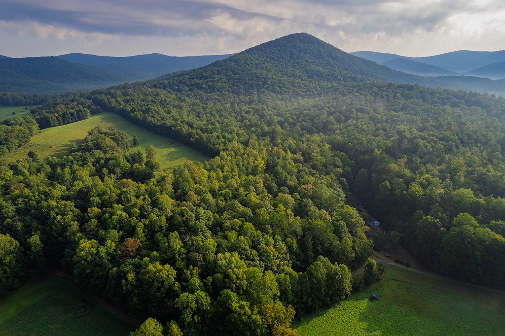 228 Holly Branch Drive