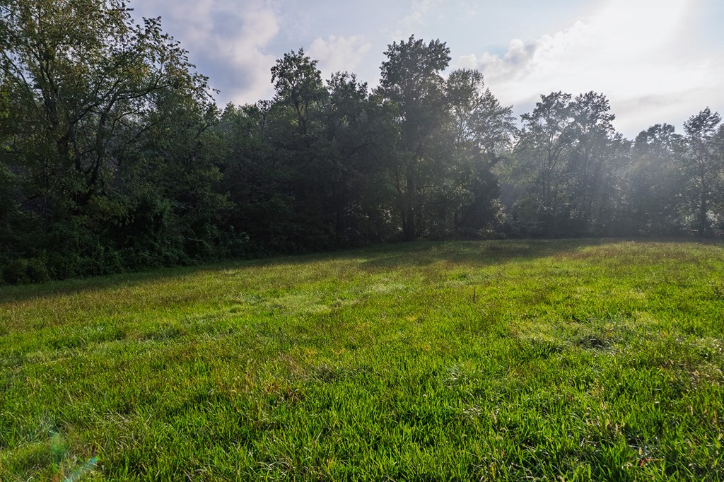 228 Holly Branch Drive