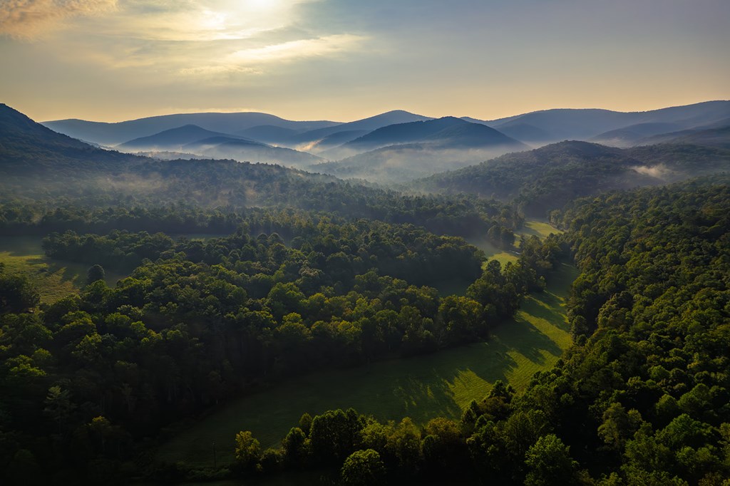 228 Holly Branch Drive