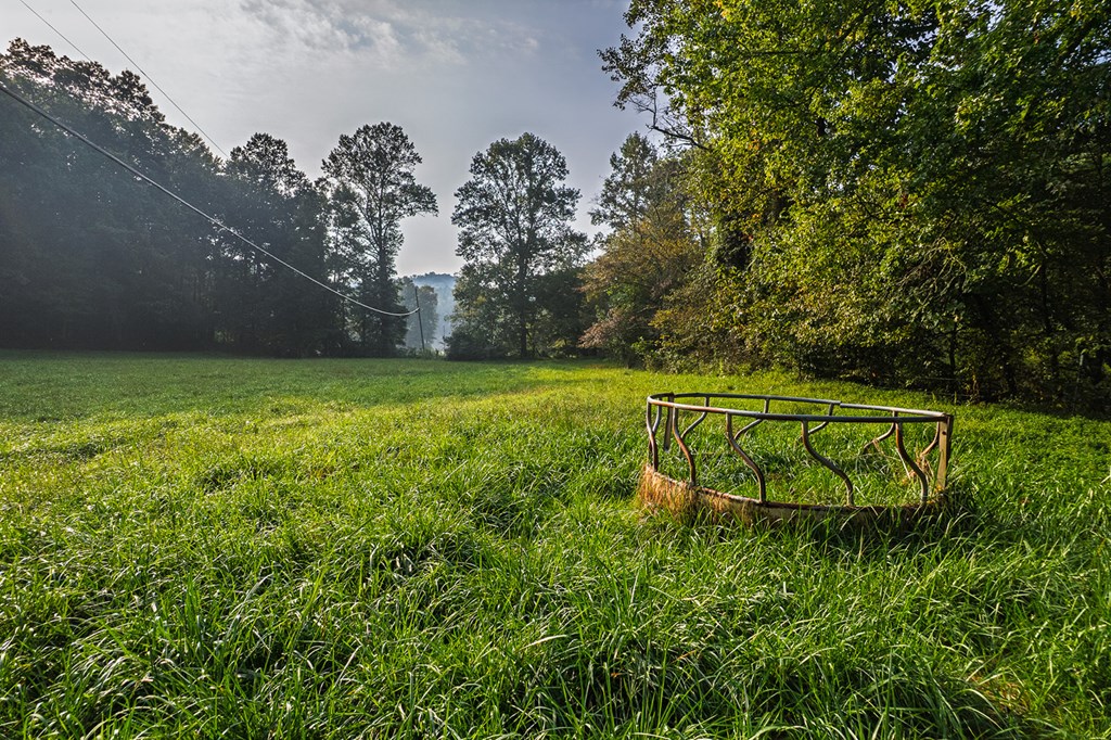 228 Holly Branch Drive