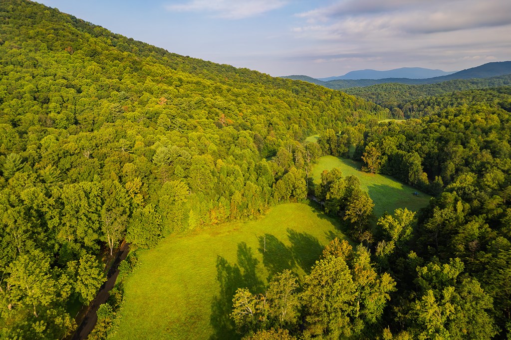 228 Holly Branch Drive