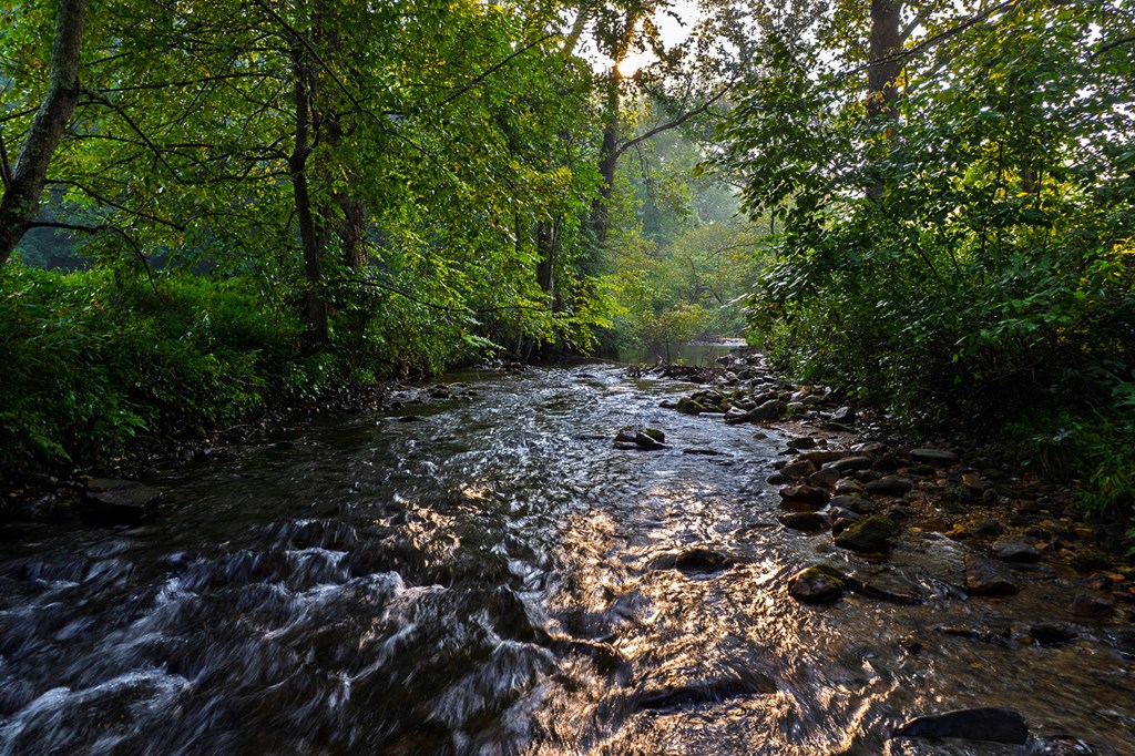 228 Holly Branch Drive