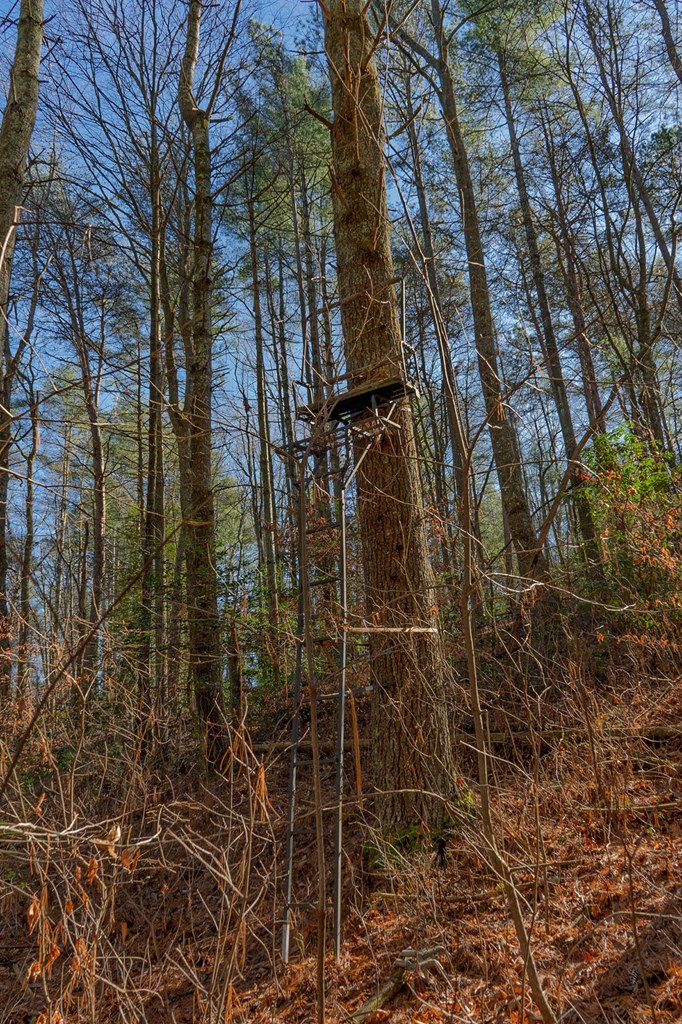 36.8 AC Pleasant Oak Trail