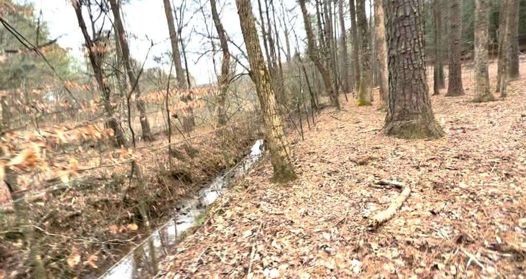 36.8 AC Pleasant Oak Trail