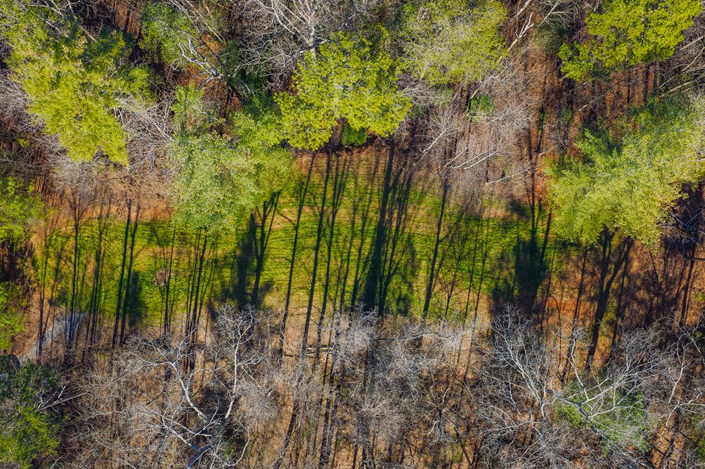 36.8 AC Pleasant Oak Trail