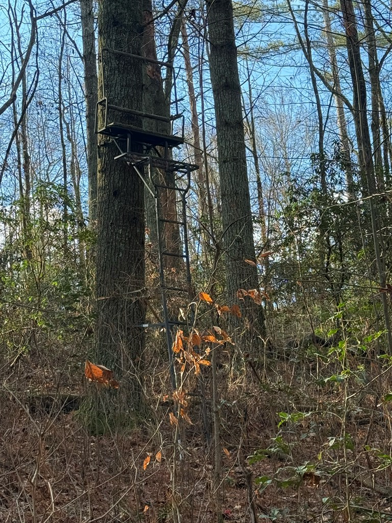 36.8 AC Pleasant Oak Trail