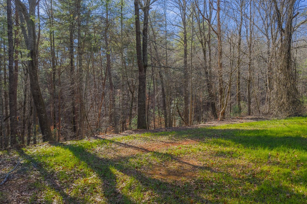 36.8 AC Pleasant Oak Trail
