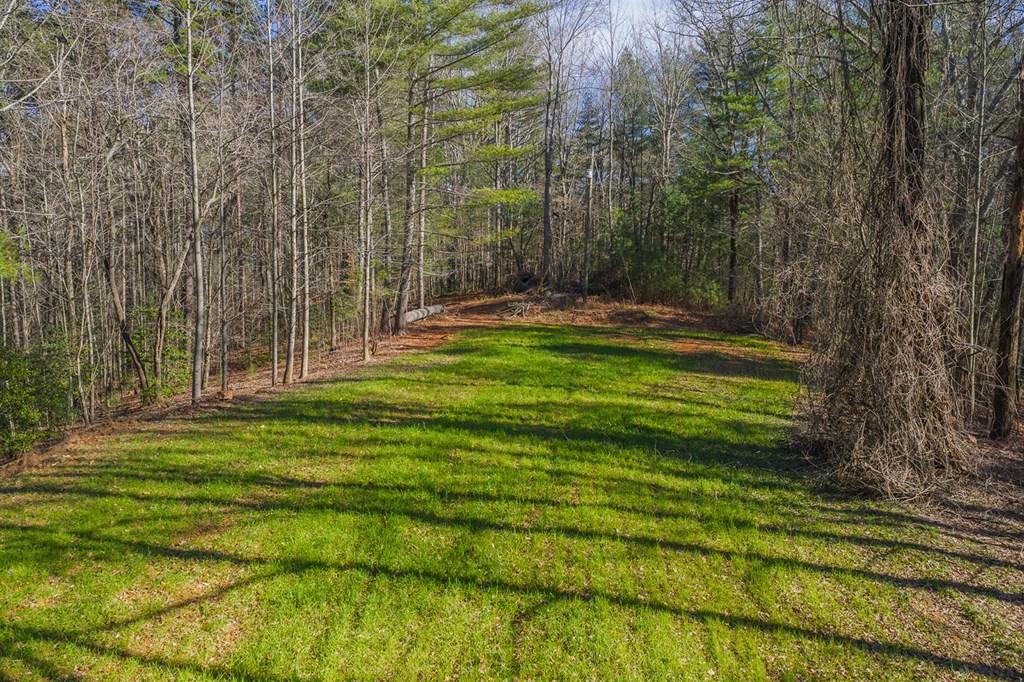 36.8 AC Pleasant Oak Trail
