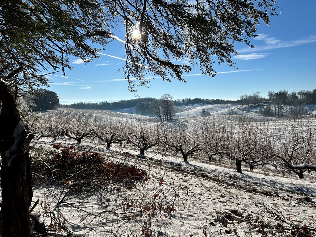 36.8 AC Pleasant Oak Trail