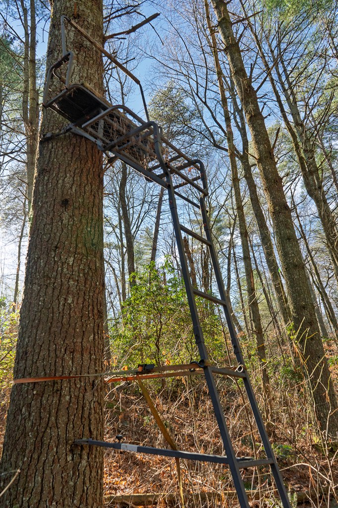 36.8 AC Pleasant Oak Trail