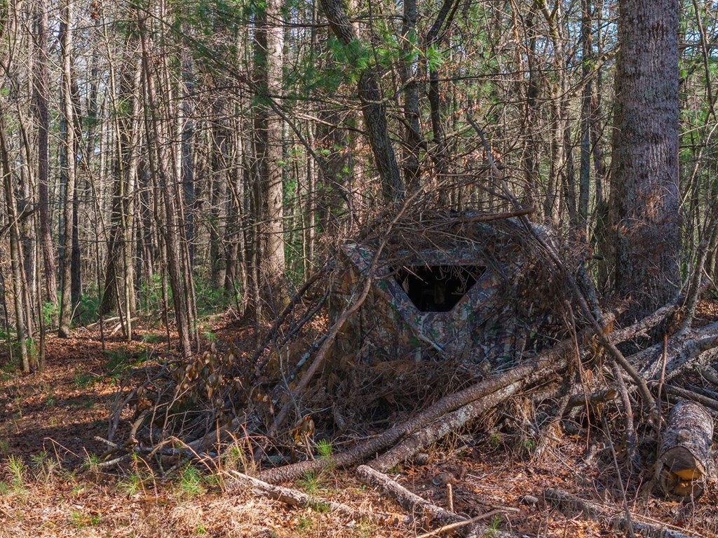 36.8 AC Pleasant Oak Trail