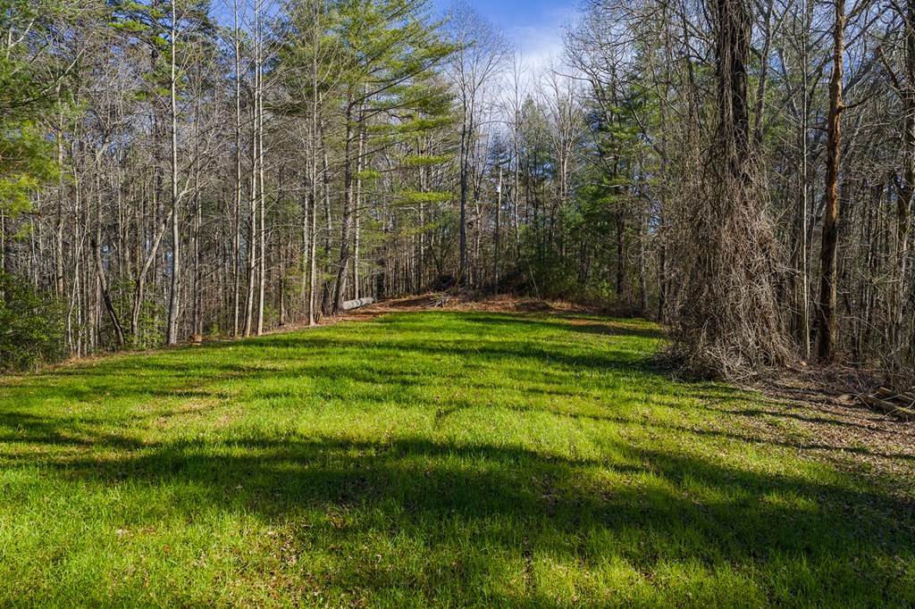 36.8 AC Pleasant Oak Trail