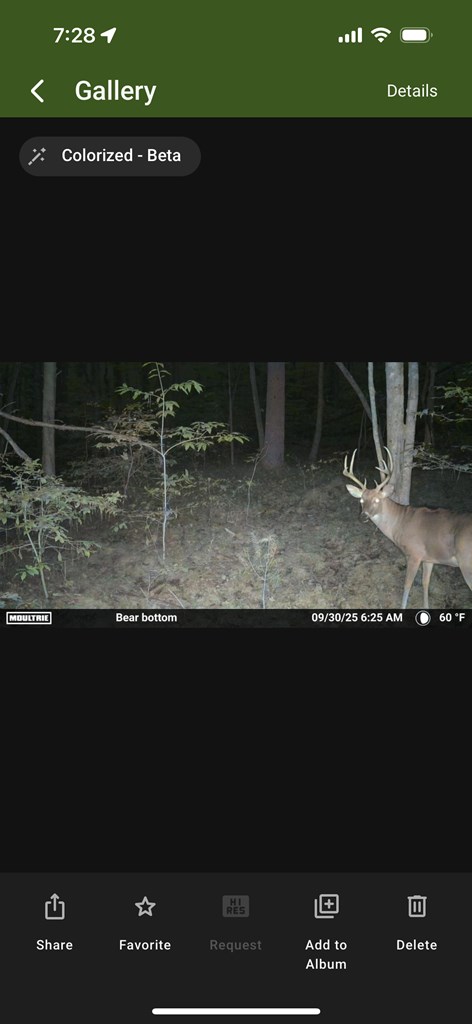 36.8 AC Pleasant Oak Trail