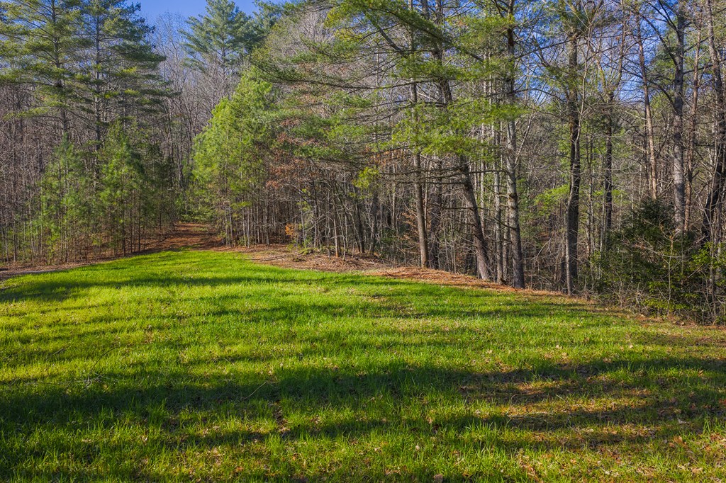 36.8 AC Pleasant Oak Trail