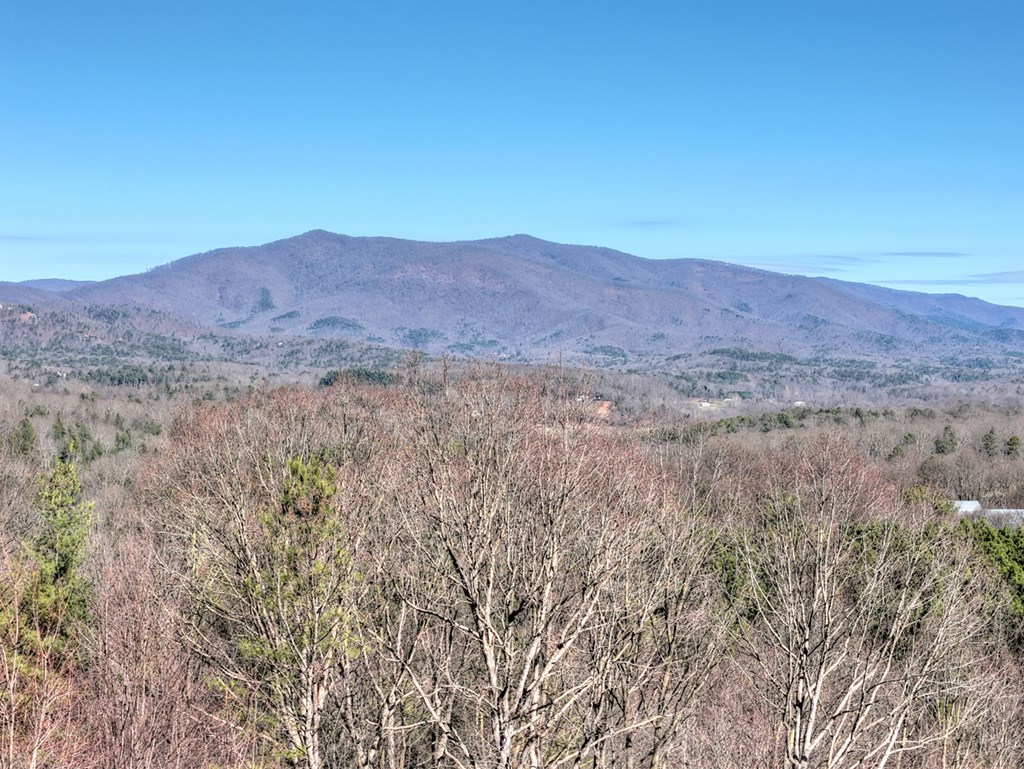 100 Fox Paw Leaf Court