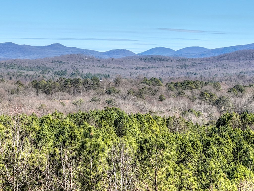 100 Fox Paw Leaf Court