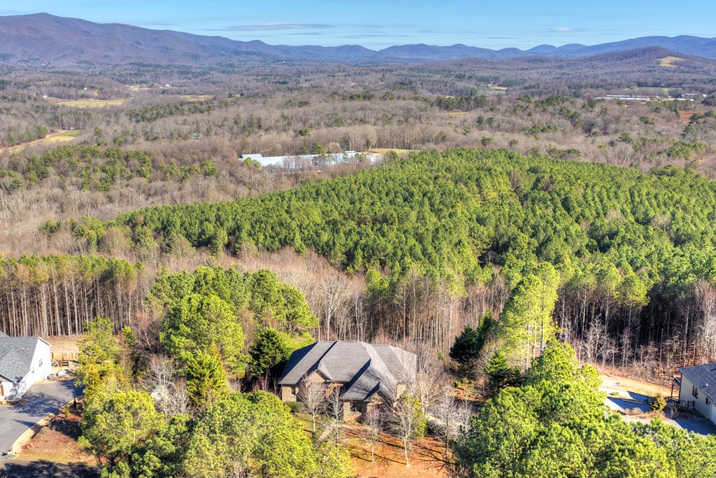 100 Fox Paw Leaf Court