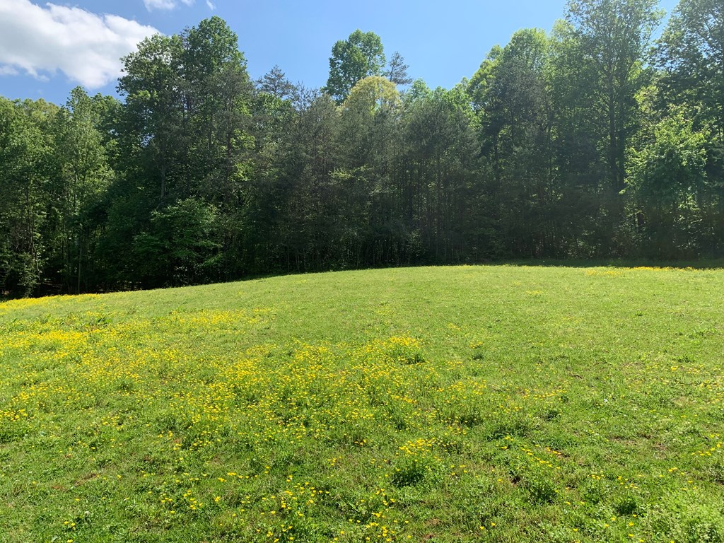 22 Old Bullen Gap Road