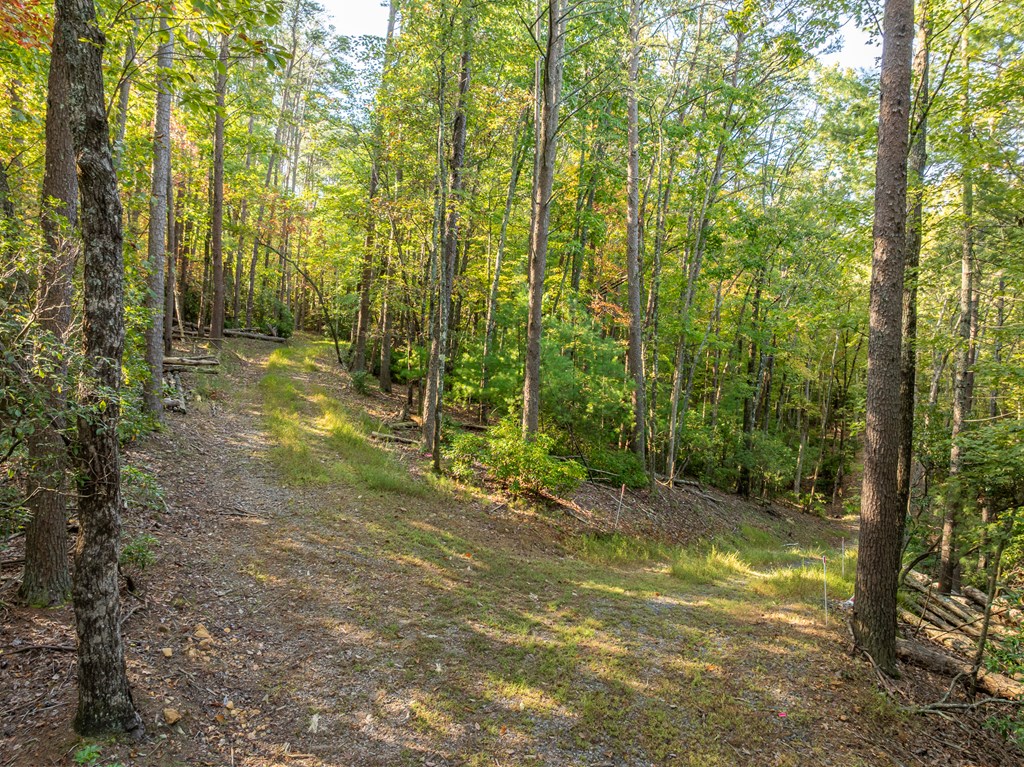 Tract 1 Turniptown Road