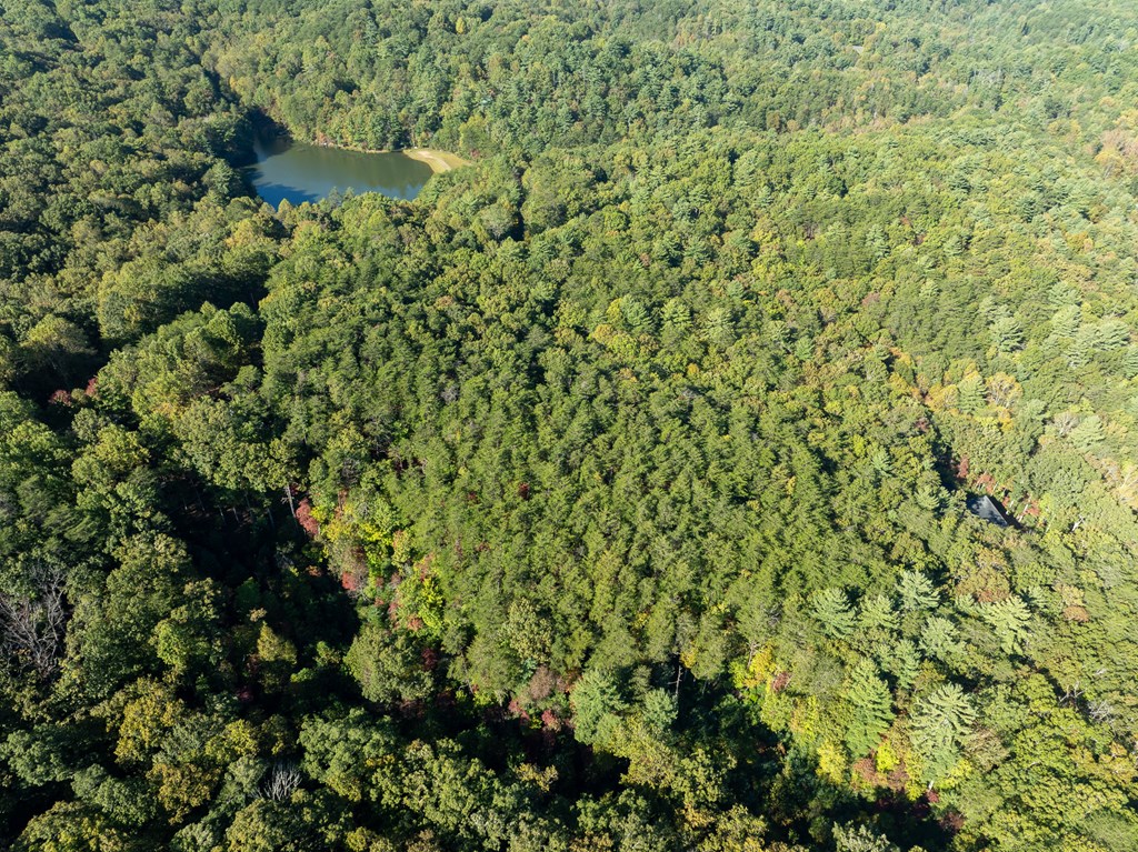 Tract 1 Turniptown Road