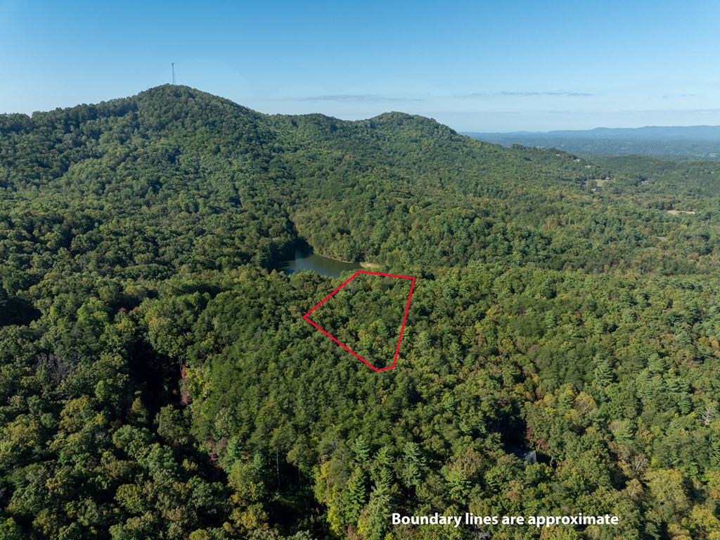 Tract 1 Turniptown Road