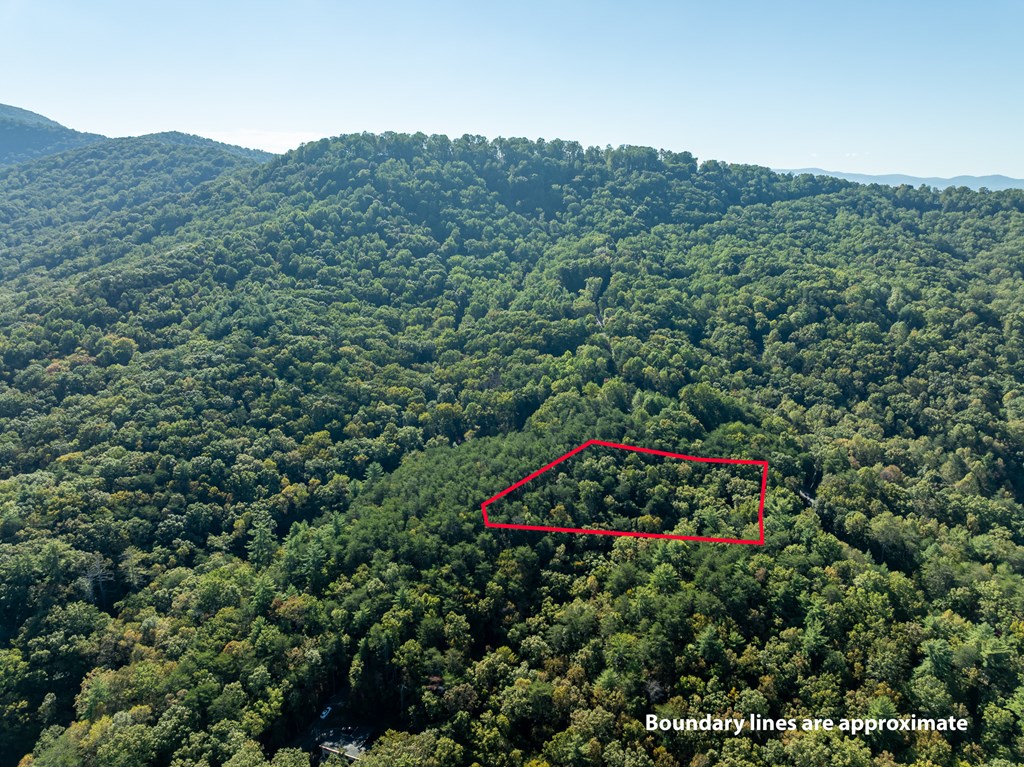 Tract 1 Turniptown Road