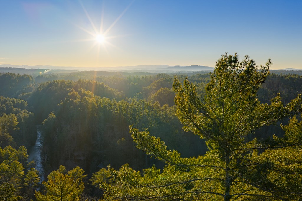 Lot 157 Roaring Forks Lane