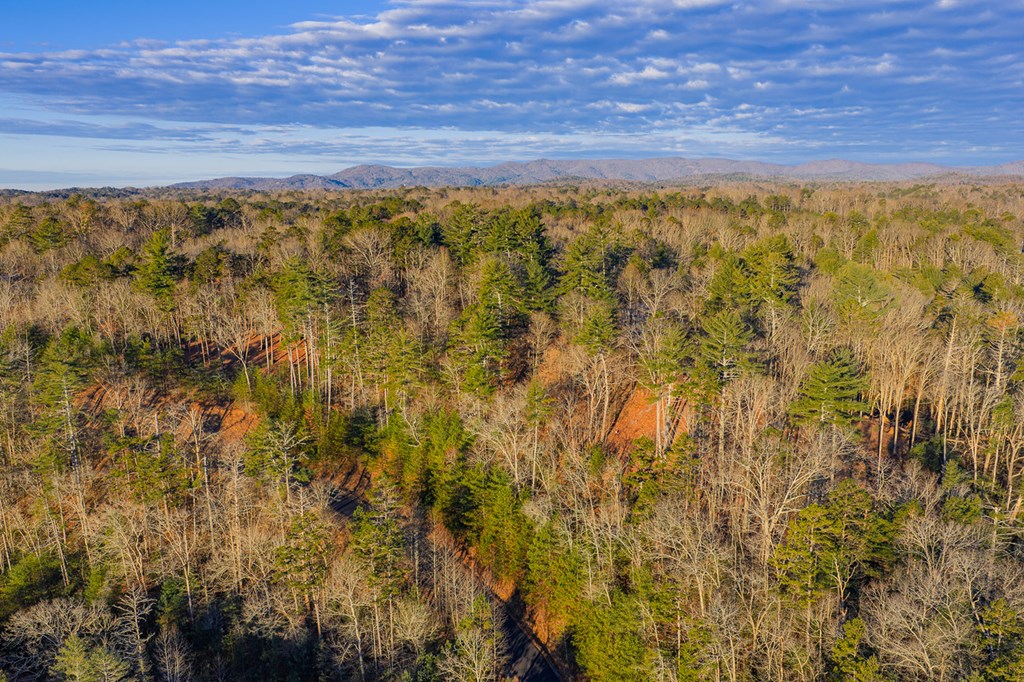 Lot 157 Roaring Forks Lane