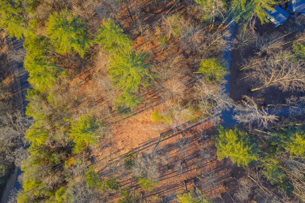 Lot 157 Roaring Forks Lane