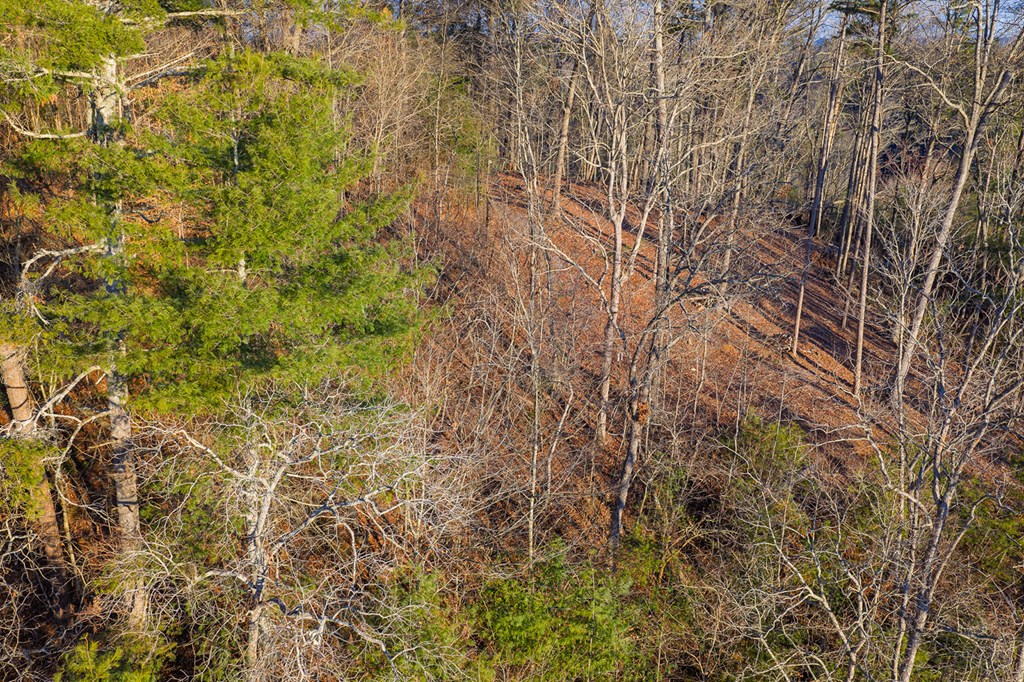 Lot 157 Roaring Forks Lane