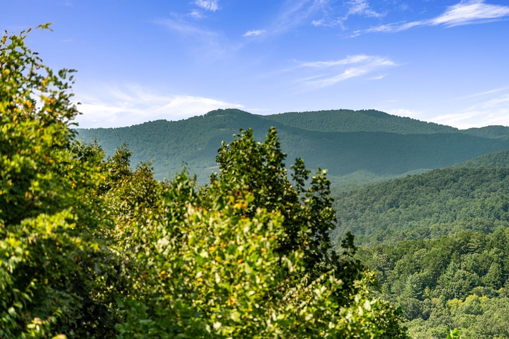 469 Mountain High Drive