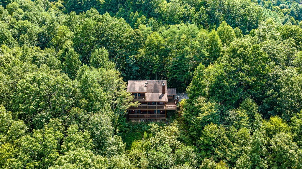 469 Mountain High Drive