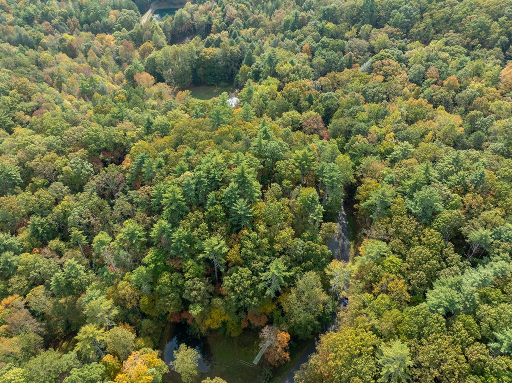 Lot 1 Chief Whitetails Road