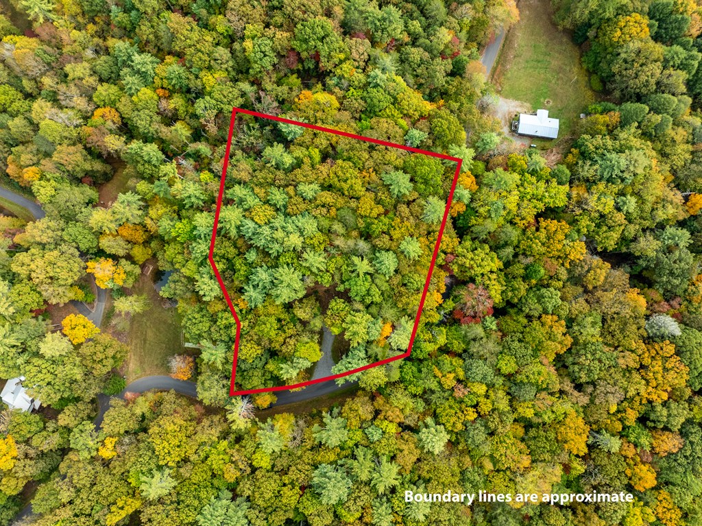 Lot 1 Chief Whitetails Road
