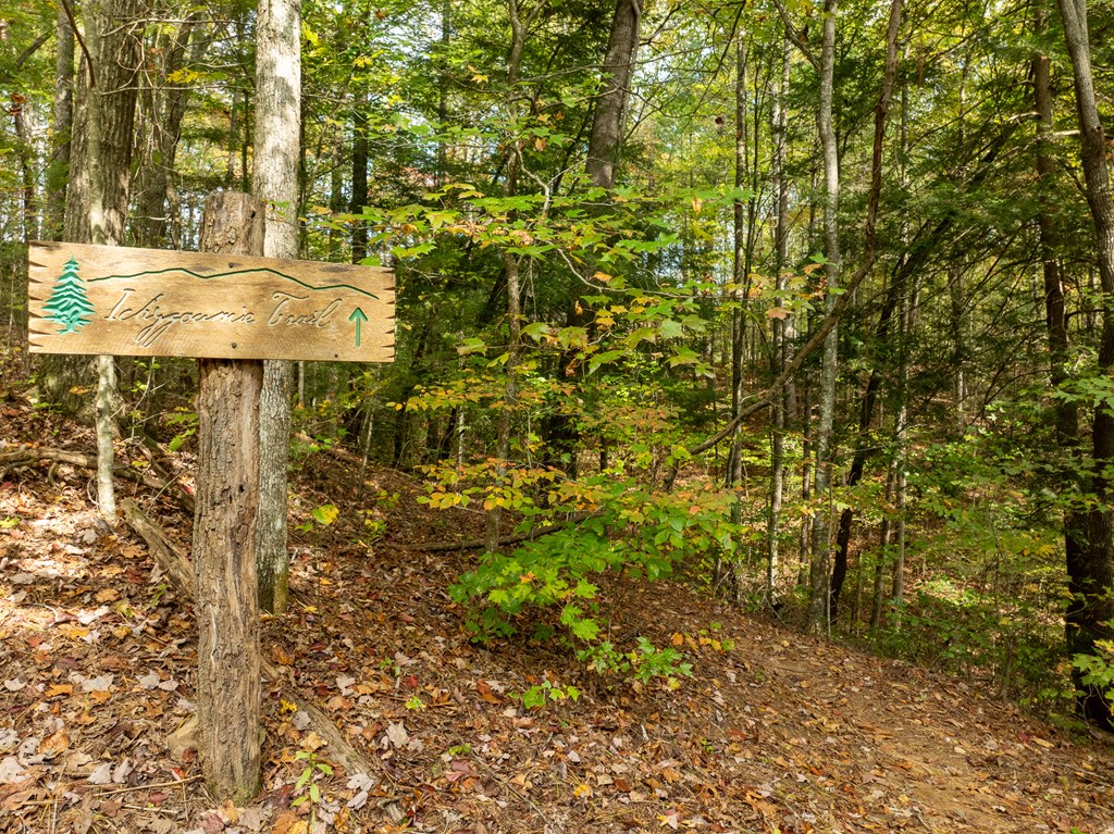 Lot 1 Chief Whitetails Road