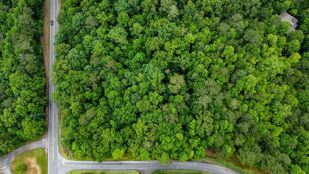 Lot 44 Harris Creek Drive