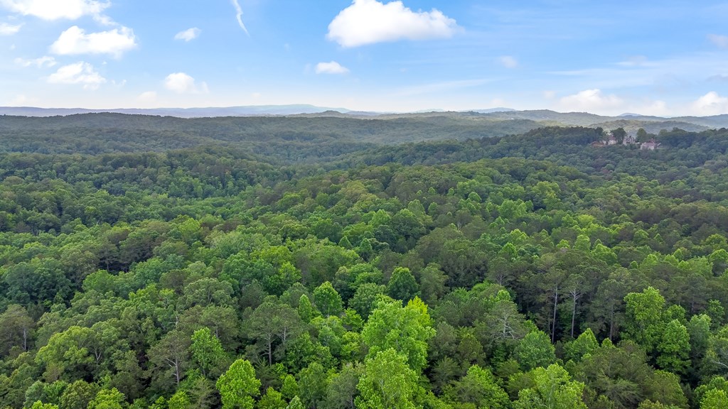 Lot 44 Harris Creek Drive