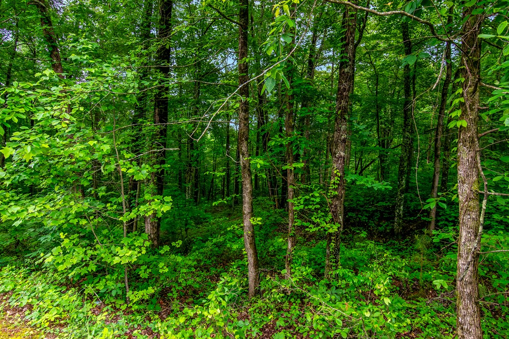 Lot 44 Harris Creek Drive