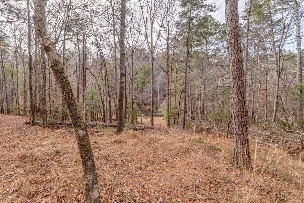 382 Adventure Trail