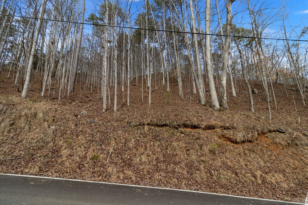 Lot 2965 Monticello Drive
