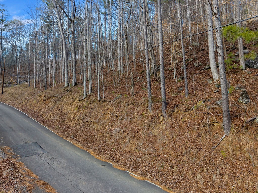 Lot 2965 Monticello Drive