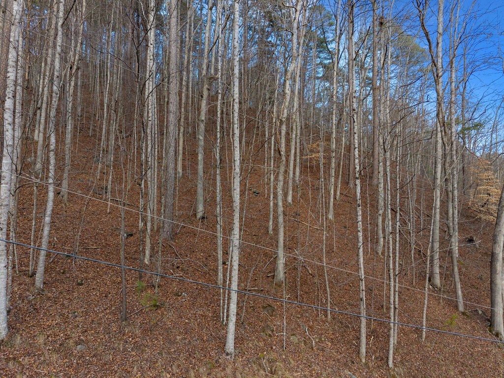 Lot 2965 Monticello Drive