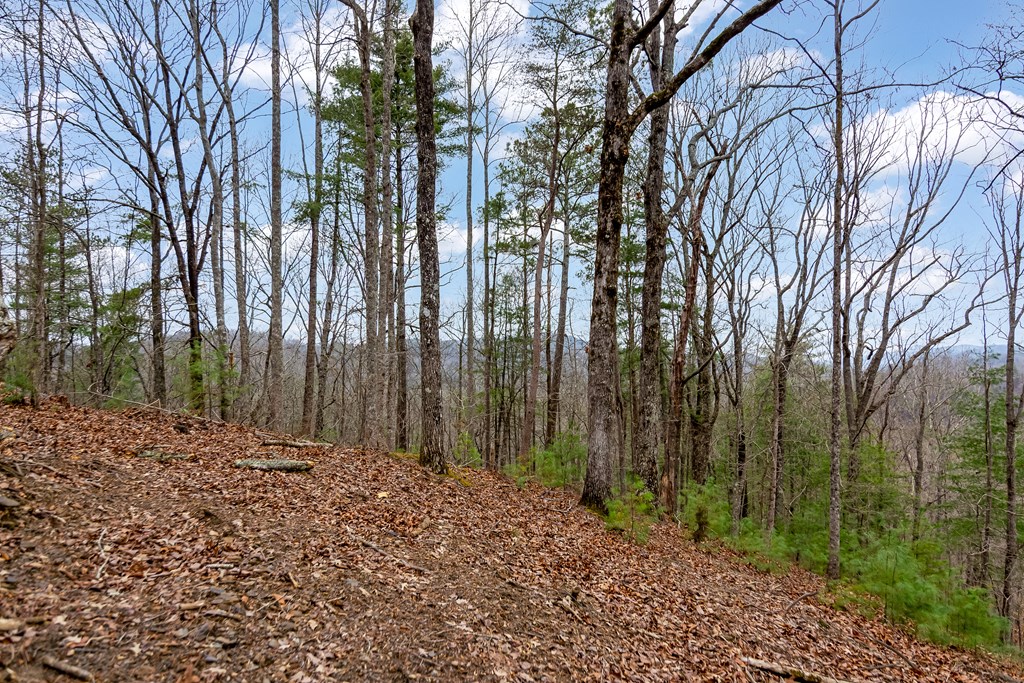 lot 1694 Shade Tree Drive