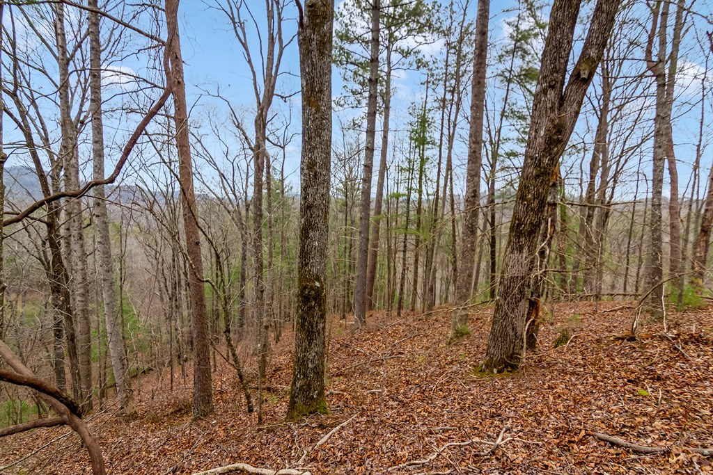 lot 1694 Shade Tree Drive