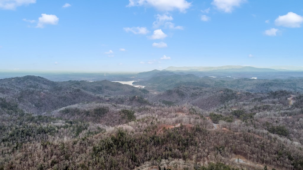 lot 1694 Shade Tree Drive