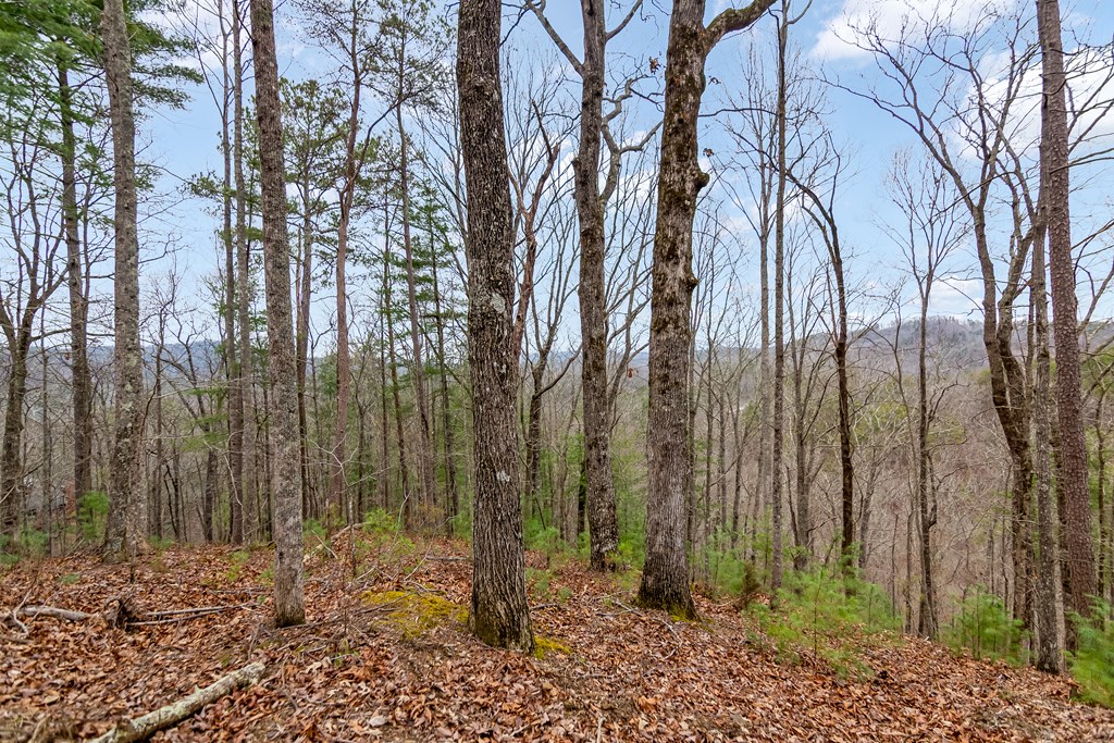 lot 1694 Shade Tree Drive