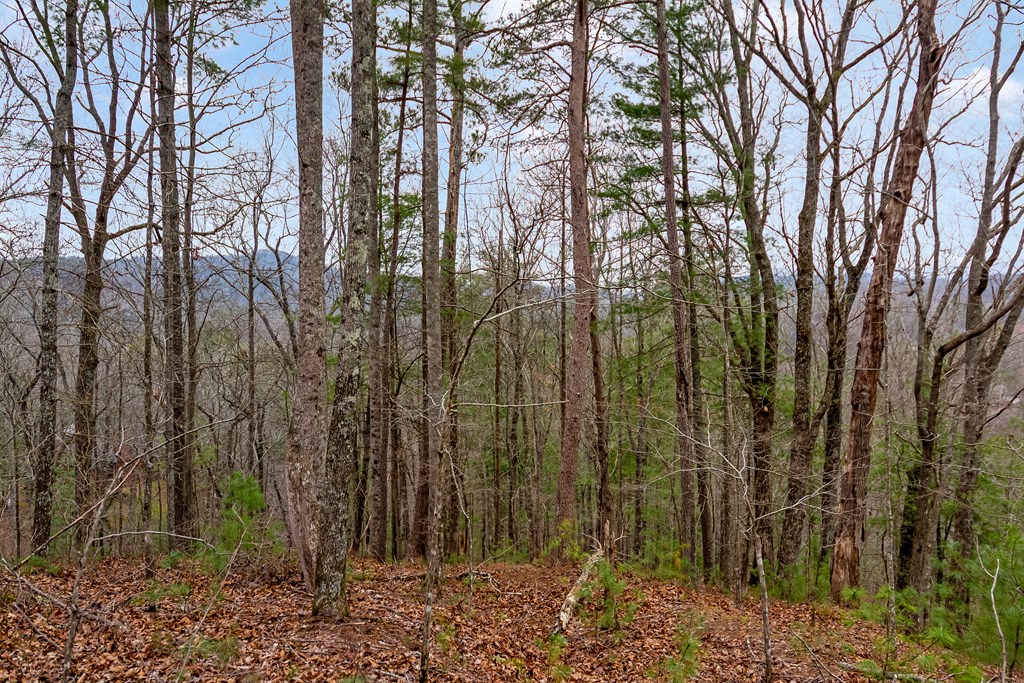 lot 1694 Shade Tree Drive