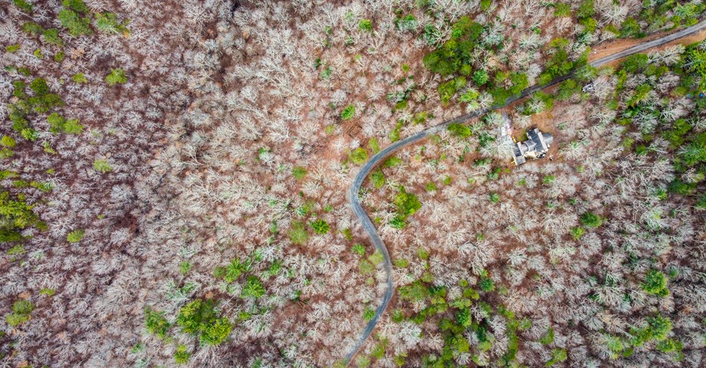 lot 1694 Shade Tree Drive