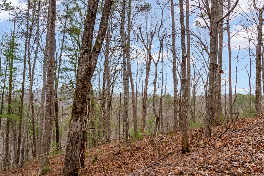 lot 1694 Shade Tree Drive